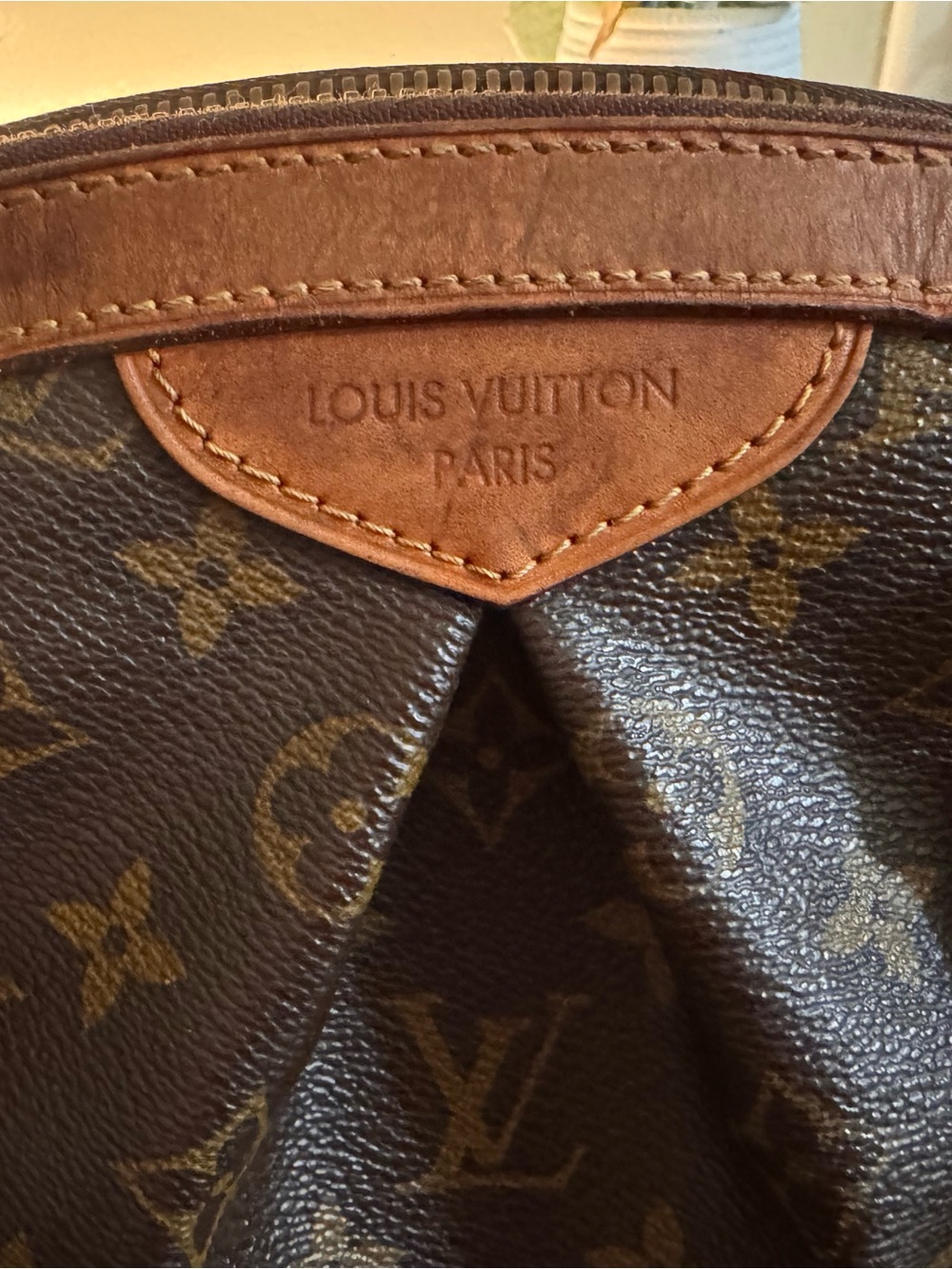 Louis Vuitton Monogram Canvas Tote in Brown and Golden Monogram - Picture 2 of 8